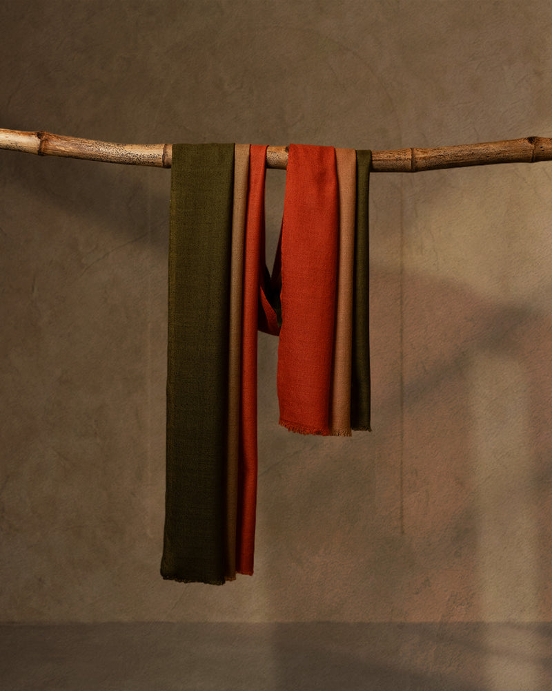 Grove Zari Cashmere Stole  Olive stole from the Ashwaa Sunrise collection