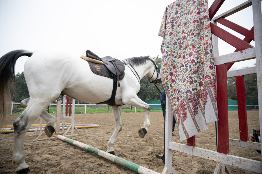 SHOW JUMPING