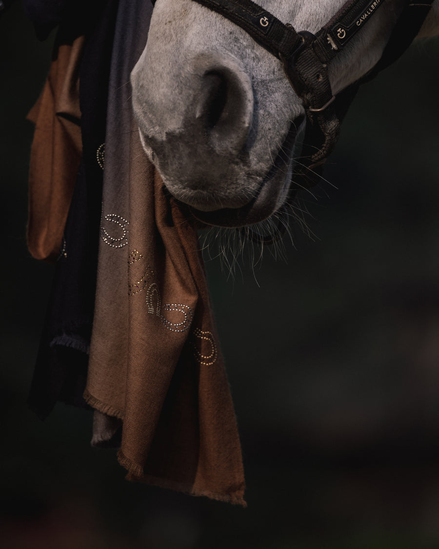 EQUESTRIAN