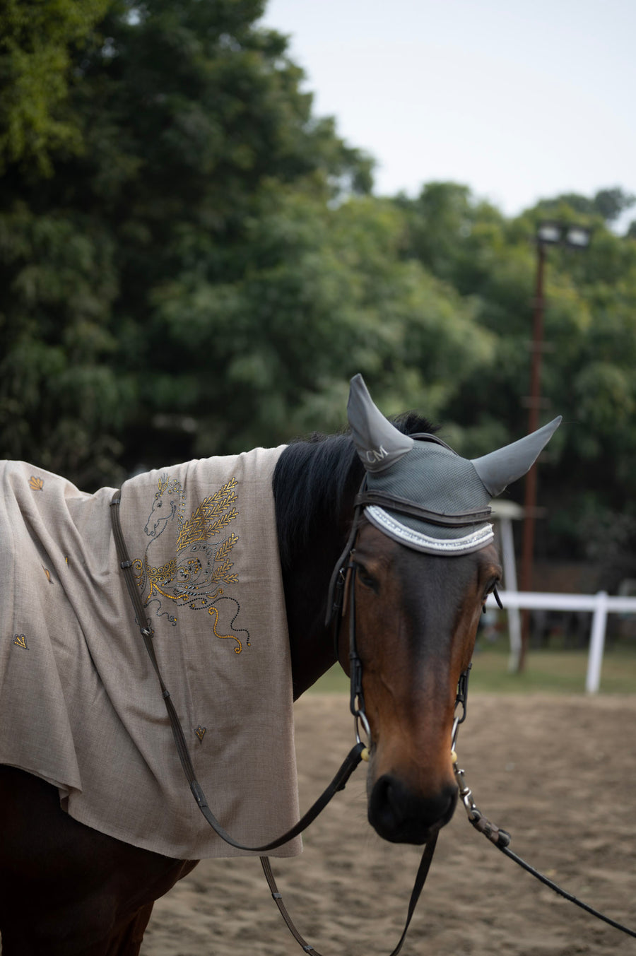 DRESSAGE